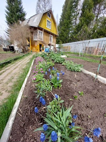 Дом 75 м² на участке 6 сот.