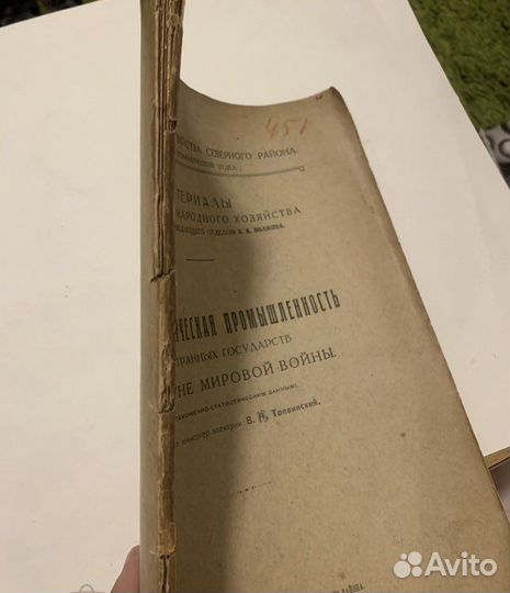 Толвинский Электротехническая промышленность 1919