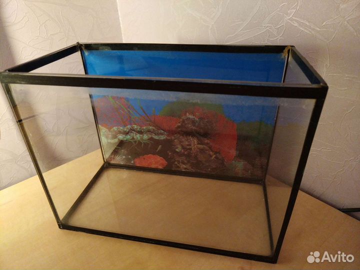 Аквариум 10 литров