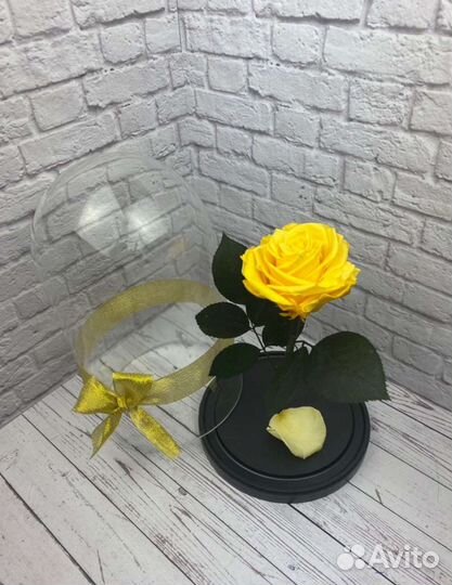 Роза в колбе