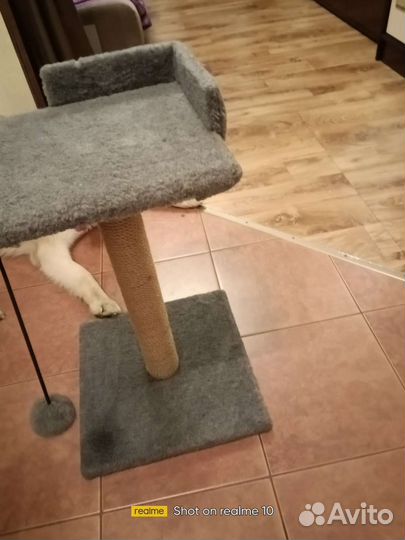 Когтеточка домик для кошки