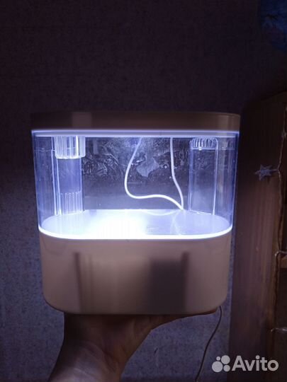 Аквариум
