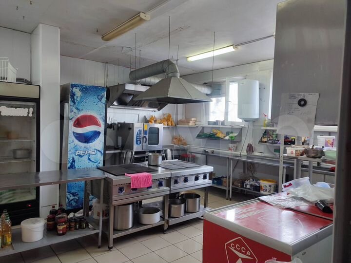 Действующий общепит,пищевое производство, 140.5 м²