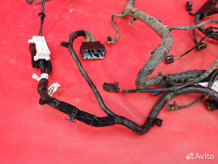 Проводка моторного отсека Kia Rio 4 2017