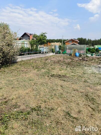 Покос травы триммером и газонокосилкой