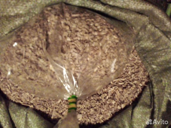 Дубовая стружка для копчения