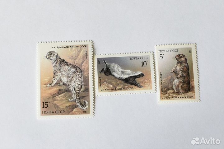 Серии марок СССР**.Спорт.Фауна