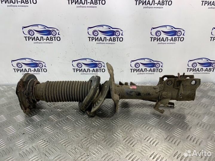 Амортизатор Передний Левый Дорест X-Trail T31 2010