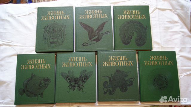 Как выглядит жизнь животных Издательство "Просвещение". Бумажная полиграфия № 1. Иллюстрированы... купить в 
