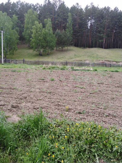 Дом 60 м² на участке 26 сот.