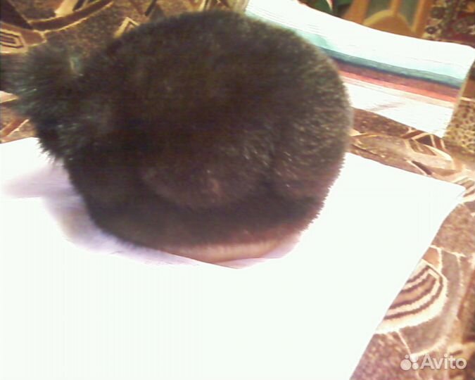 Шапка норковая новая