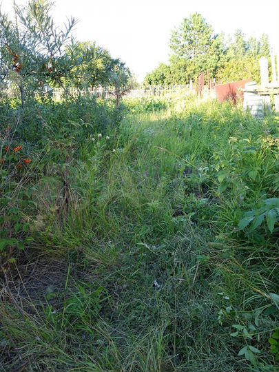 Дача 20 м² на участке 7,5 сот.