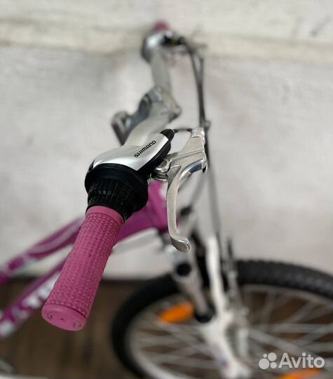 Подростковый Trek MT 220 24 (Shimano/Aluminium)