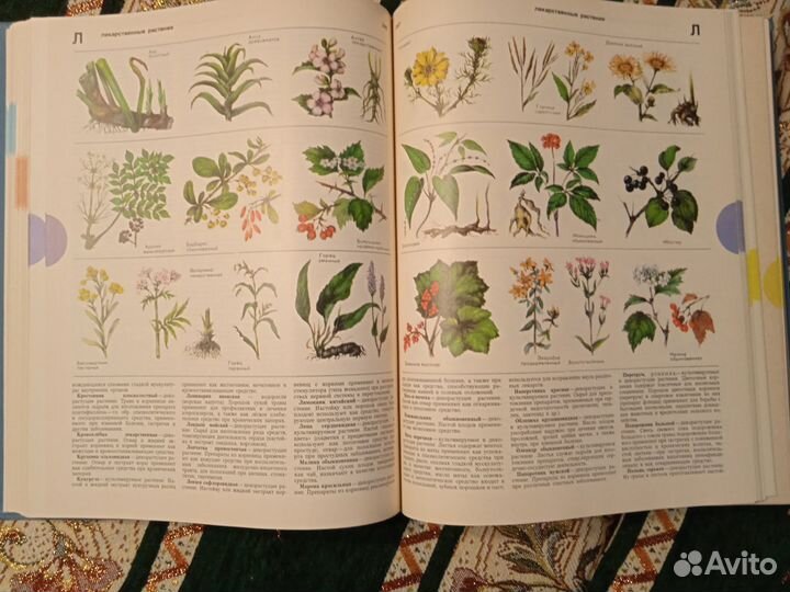 Энциклопедии домашнего хозяйства СССР и другое