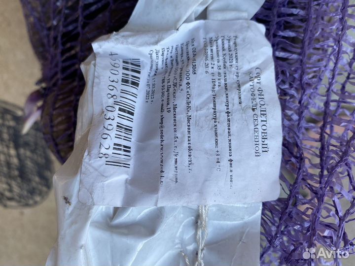 Картофель Фиолетовый