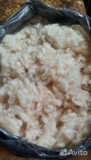 Шерсть ягненка прочёсанная вручную