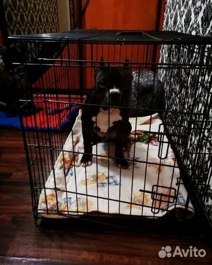 Клетка для собак
