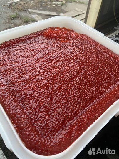 Красная икра Горбуша/кета/кижуч/нерка