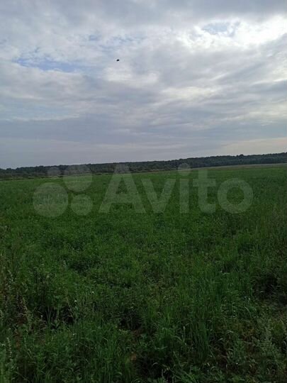 Участок 280 га (СНТ, ДНП)