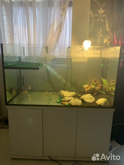 Аквариум с тумбой 300 литров