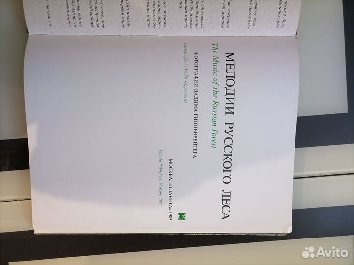 Мелодии русского леса