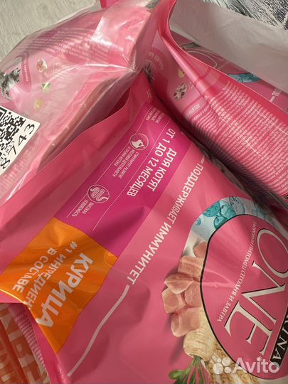 Сухой корм для котят