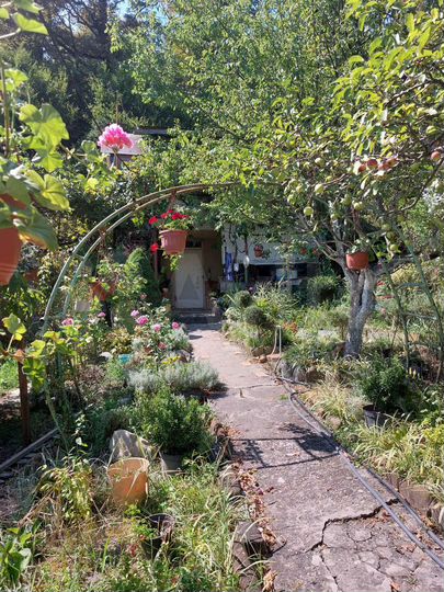 Дача 53 м² на участке 6,3 сот.