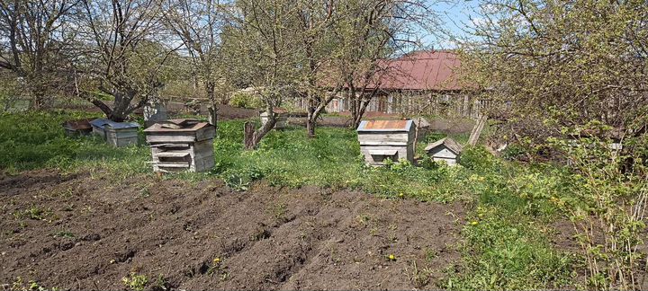 Дом 50 м² на участке 40 сот.