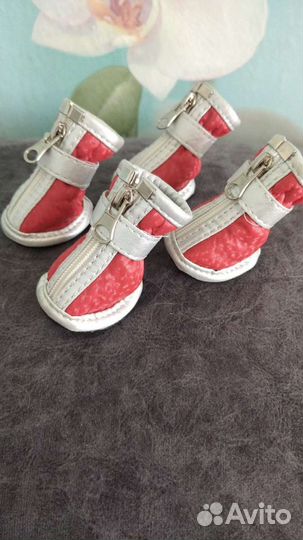 Ботиночки для собак мелких пород