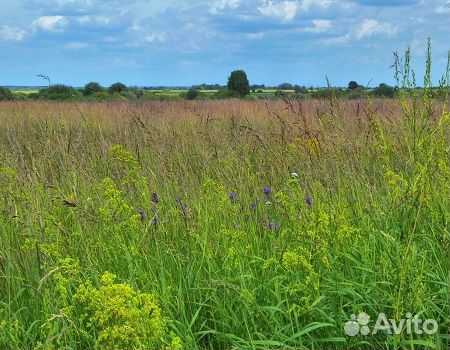 Продам Сельхоз предприятие. Агрофирма. 1 827 га