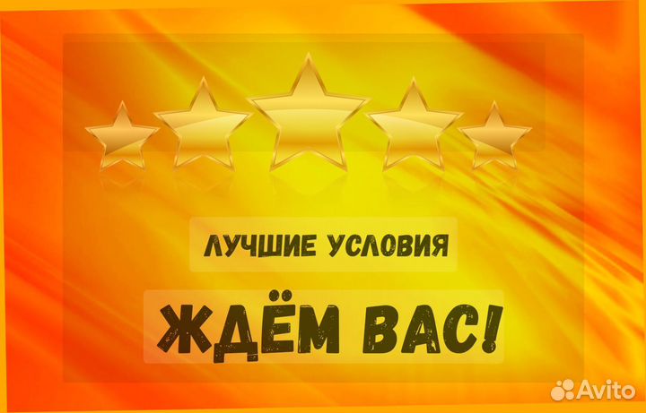 Наборщик заказов Без опыта Еженедельные выплаты