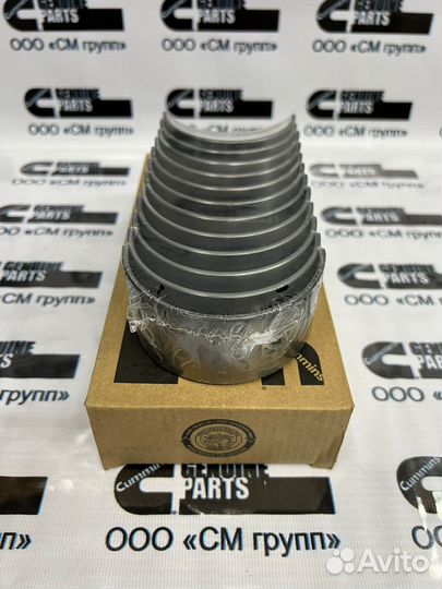 Вкладыши шатунные (комплект) Cummins ISM11 QSM11