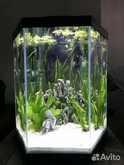 Чистка аквариума