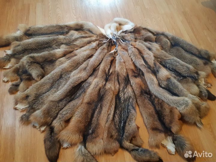 Шкуры волка