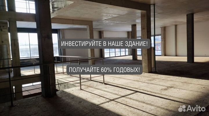 Ищу инвестора даю 60 процентов годовых