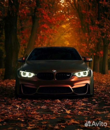 Билеты на стендап Саши Малого