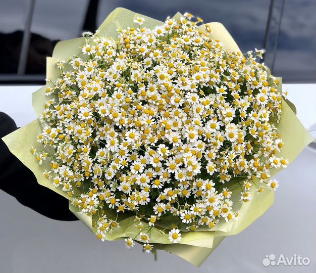 Ромашки Букет из ромашек доставка