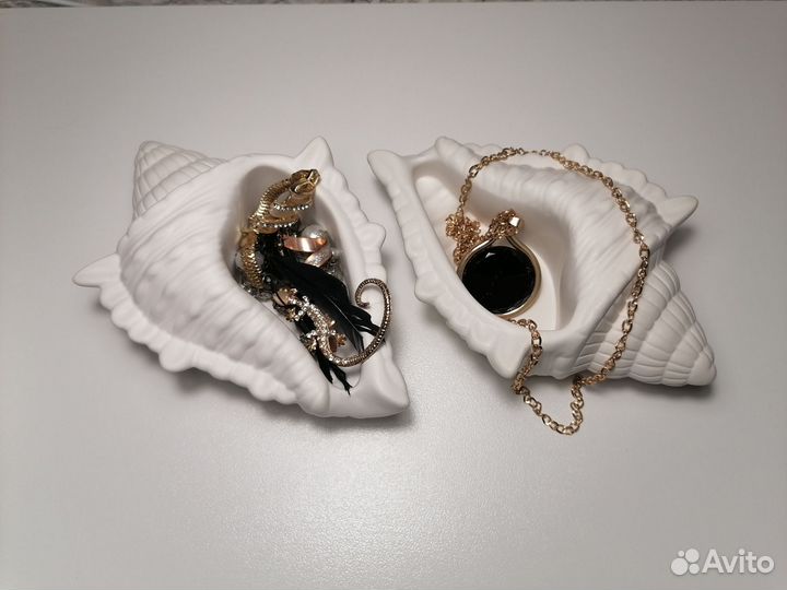 Ракушка из гипса