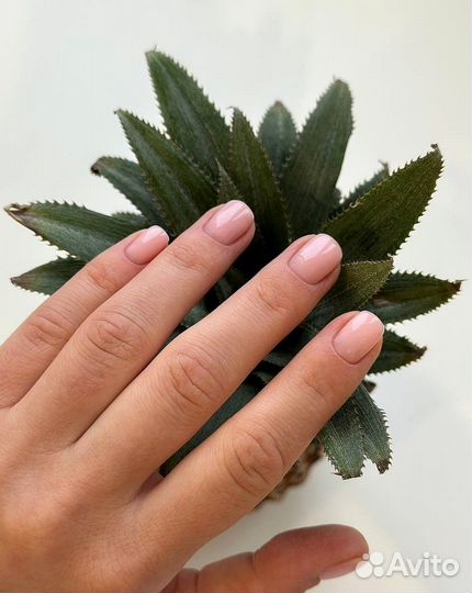 Маникюр Коммунарка