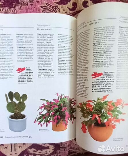 Книги на каждый день