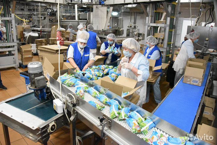 Упаковщик/укладчик готовой продукции в Кольчугино