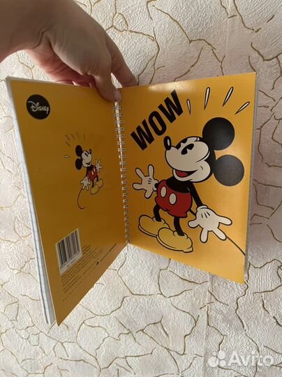 Новая тетрадь из двух разделов