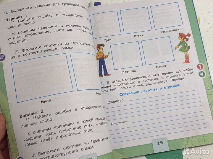 Окружающий мир 2 класс рабочая тетрадь Плешаков