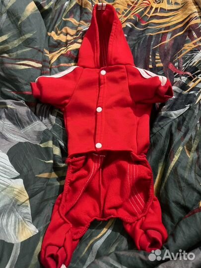 Комбинезон для маленький собачки