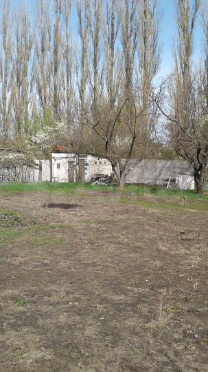 Дача 55 м² на участке 6,5 сот.