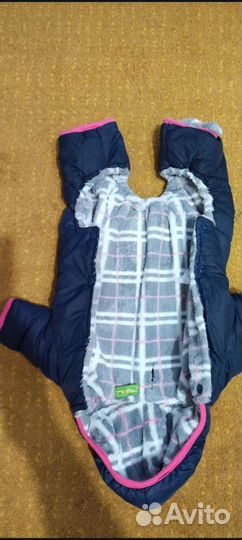 Одежда для животных