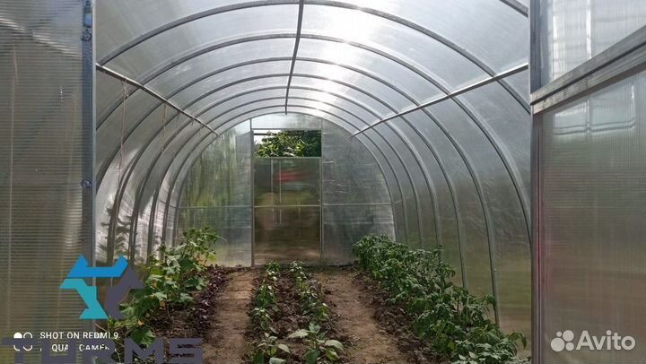 Теплица от производителя