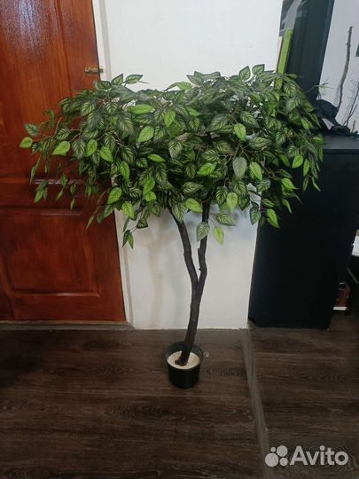 Фикус искусственный