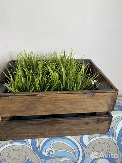 Декоративные искусственные растения