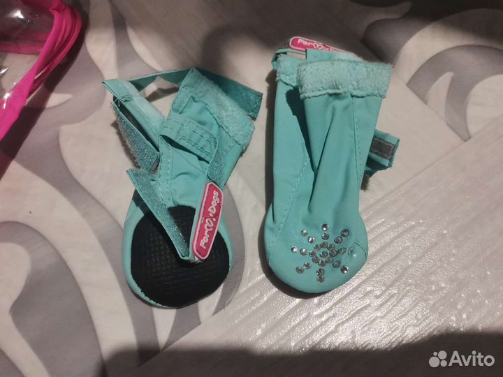 Обувь для собак